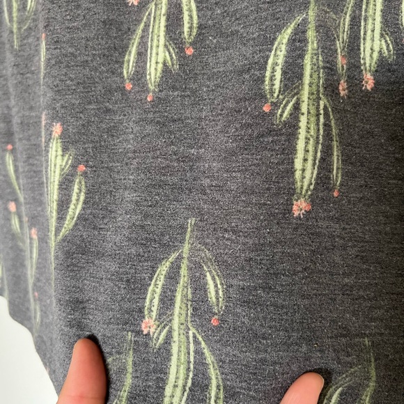 PLEIONE top cactus - Picture 3 of 4